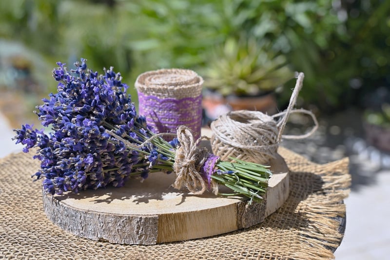 DIY Garden Projects